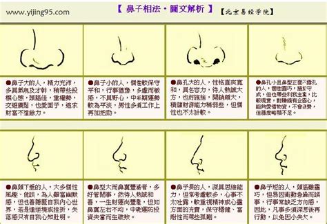 鼻孔形狀面相|【鼻子長面相】注意力! 長鼻子原來代表5種註定大富大貴的面相